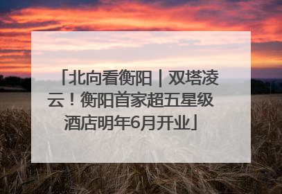 北向看衡阳｜双塔凌云！衡阳首家超五星级酒店明年6月开业
