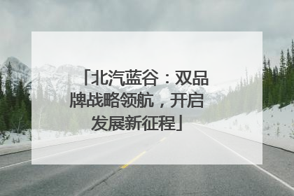 北汽蓝谷：双品牌战略领航，开启发展新征程