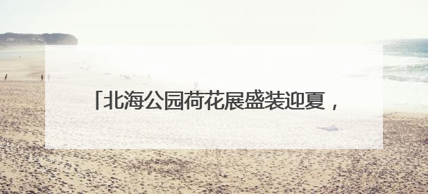 北海公园荷花展盛装迎夏，169盆珍贵碗莲同步亮相