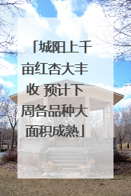 城阳上千亩红杏大丰收 预计下周各品种大面积成熟