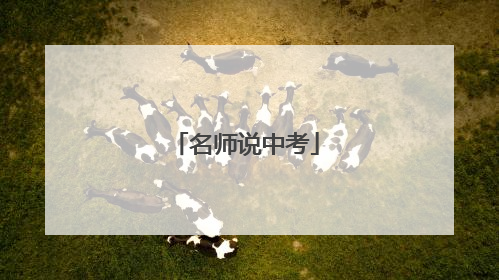 名师说中考