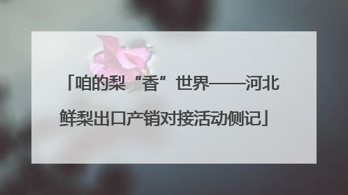 咱的梨“香”世界——河北鲜梨出口产销对接活动侧记