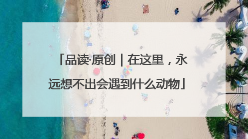 品读·原创｜在这里，永远想不出会遇到什么动物