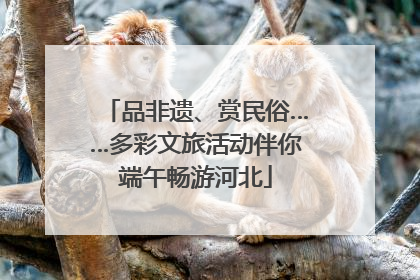 品非遗、赏民俗……多彩文旅活动伴你端午畅游河北