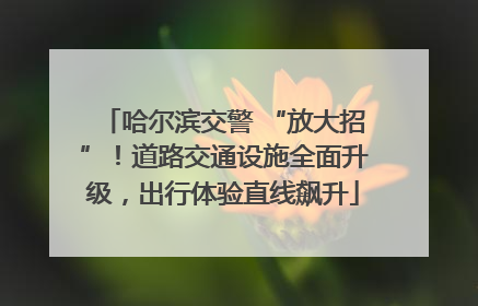 哈尔滨交警 “放大招”！道路交通设施全面升级，出行体验直线飙升