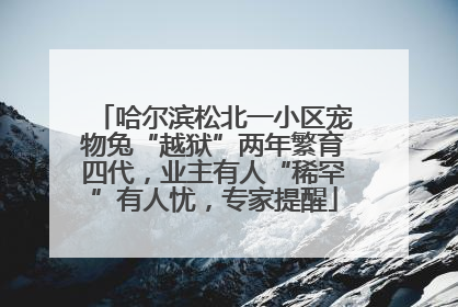 哈尔滨松北一小区宠物兔“越狱”两年繁育四代，业主有人“稀罕”有人忧，专家提醒