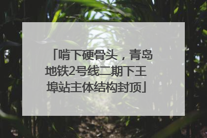 啃下硬骨头，青岛地铁2号线二期下王埠站主体结构封顶