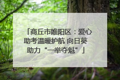 商丘市睢阳区：爱心助考温暖护航 向日葵助力“一举夺魁”