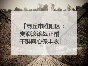 商丘市睢阳区：麦浪滚滚战正酣 干群同心保丰收