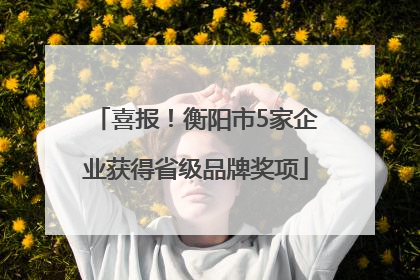 喜报！衡阳市5家企业获得省级品牌奖项