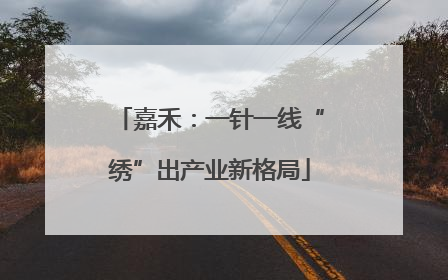嘉禾：一针一线“绣”出产业新格局