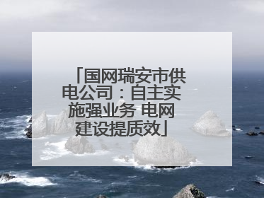 国网瑞安市供电公司：自主实施强业务 电网建设提质效