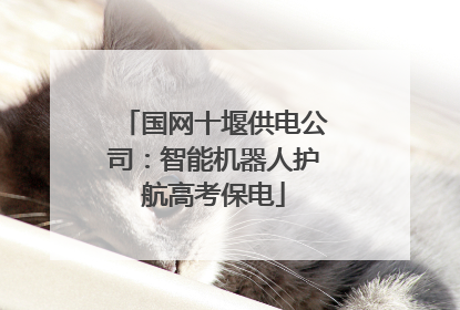 国网十堰供电公司：智能机器人护航高考保电