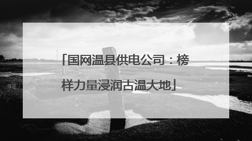 国网温县供电公司：榜样力量浸润古温大地