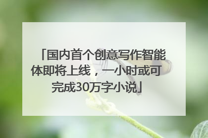 国内首个创意写作智能体即将上线，一小时或可完成30万字小说