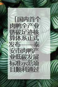 国内首个肉鸭全产业链碳足迹核算体系正式发布——泰安市肉鸭产业低碳发展标准示范项目顺利通过验收