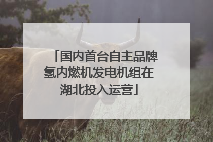 国内首台自主品牌氢内燃机发电机组在湖北投入运营