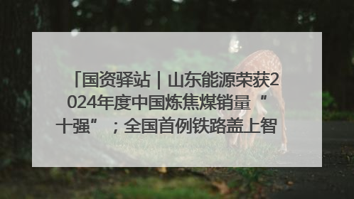 国资驿站｜山东能源荣获2024年度中国炼焦煤销量“十强”；全国首例铁路盖上智慧物流园钢结构主体完工