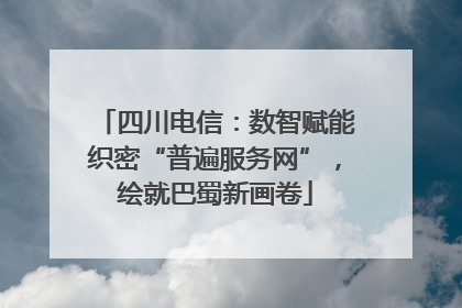 四川电信：数智赋能织密“普遍服务网”，绘就巴蜀新画卷
