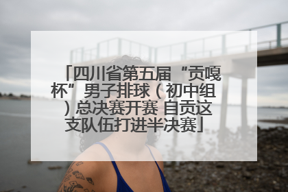 四川省第五届“贡嘎杯”男子排球（初中组）总决赛开赛 自贡这支队伍打进半决赛