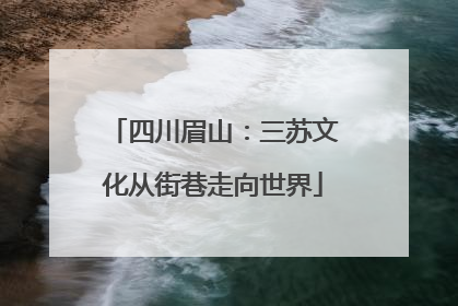 四川眉山：三苏文化从街巷走向世界