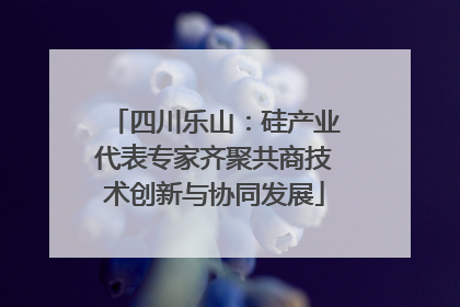 四川乐山：硅产业代表专家齐聚共商技术创新与协同发展