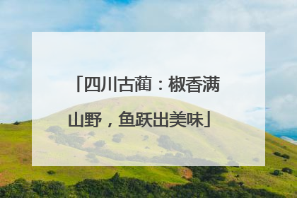 四川古蔺：椒香满山野，鱼跃出美味