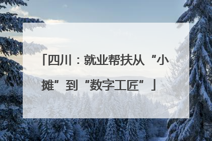 四川：就业帮扶从“小摊”到“数字工匠”