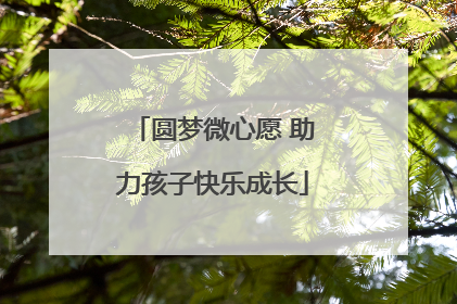 圆梦微心愿 助力孩子快乐成长