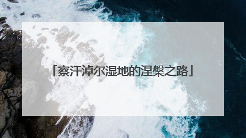 察汗淖尔湿地的涅槃之路