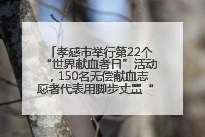 孝感市举行第22个“世界献血者日”活动，150名无偿献血志愿者代表用脚步丈量“中华孝爱第一山”