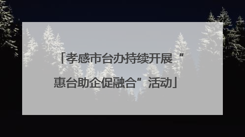 孝感市台办持续开展“惠台助企促融合”活动