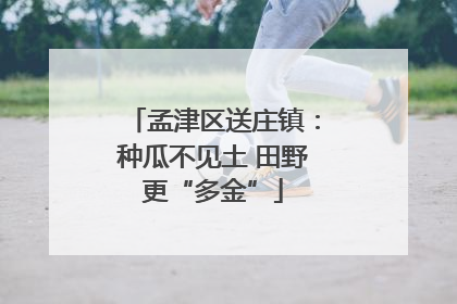 孟津区送庄镇：种瓜不见土 田野更“多金”