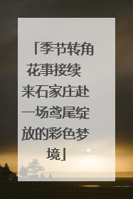 季节转角花事接续 来石家庄赴一场鸢尾绽放的彩色梦境