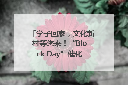 学子回家，文化新村等您来！“Block Day”催化学院式街区新生态