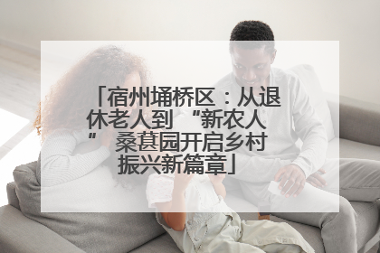 宿州埇桥区：从退休老人到 “新农人” 桑葚园开启乡村振兴新篇章