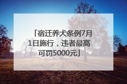 宿迁养犬条例7月1日施行，违者最高可罚5000元