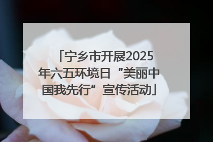 宁乡市开展2025年六五环境日“美丽中国我先行”宣传活动