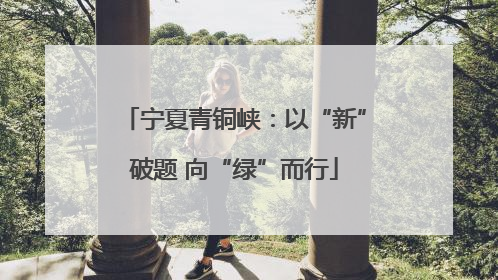 宁夏青铜峡：以“新”破题 向“绿”而行