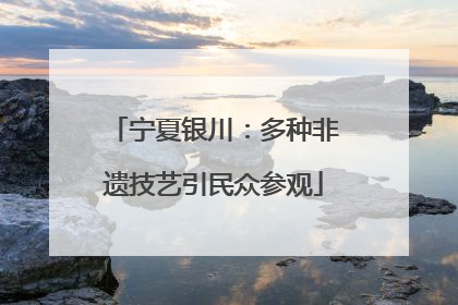 宁夏银川：多种非遗技艺引民众参观