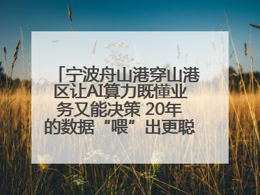 宁波舟山港穿山港区让AI算力既懂业务又能决策 20年的数据“喂”出更聪明的港口