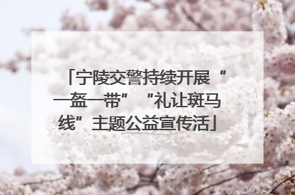 宁陵交警持续开展“一盔一带”“礼让斑马线”主题公益宣传活