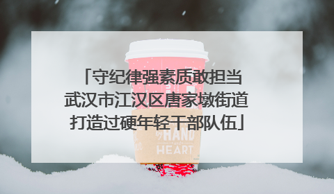 守纪律强素质敢担当 武汉市江汉区唐家墩街道打造过硬年轻干部队伍