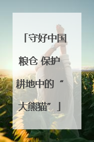 守好中国粮仓 保护耕地中的“大熊猫”