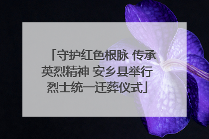 守护红色根脉 传承英烈精神 安乡县举行烈士统一迁葬仪式