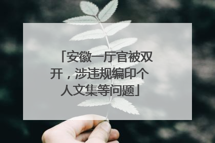 安徽一厅官被双开，涉违规编印个人文集等问题