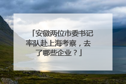 安徽两位市委书记率队赴上海考察，去了哪些企业？