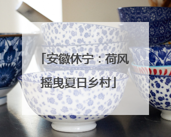 安徽休宁：荷风摇曳夏日乡村