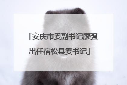 安庆市委副书记廖强出任宿松县委书记