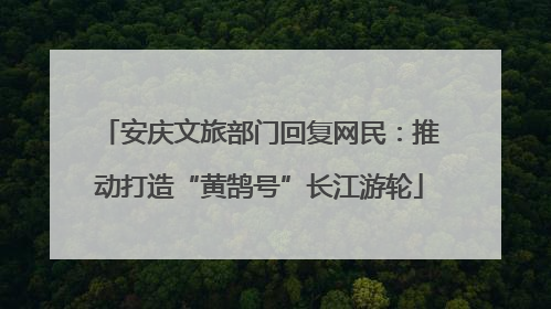 安庆文旅部门回复网民：推动打造“黄鹄号”长江游轮
